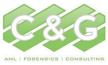C&G Professional Services Inc
